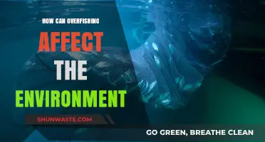 Overfishing's Devastating Impact: How It Threatens Our Oceans and Ecosystems