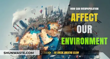 Overpopulation's Impact: Environmental Consequences and Sustainable Solutions Explored