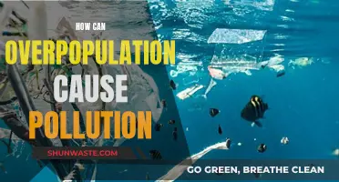 Overpopulation's Impact: Understanding Pollution's Root Cause