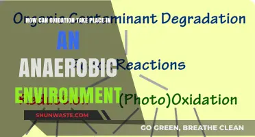 Unraveling Anaerobic Oxidation: Surprising Chemical Reactions Without Oxygen