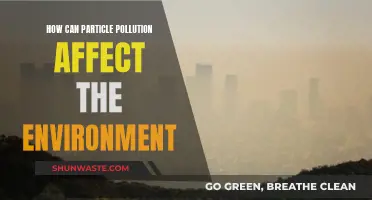 Particle Pollution: Environmental Impact and Health Risks