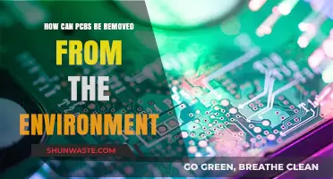 Effective Strategies for Removing PCBs from the Environment Safely