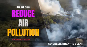 Simple Ways to Reduce Air Pollution and Breathe Better