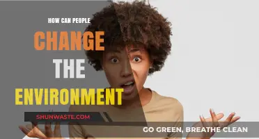 Transforming Our Planet: Practical Ways People Can Change the Environment