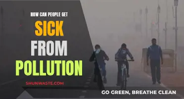 Air Pollution's Impact on Health: Sickness and Pollution