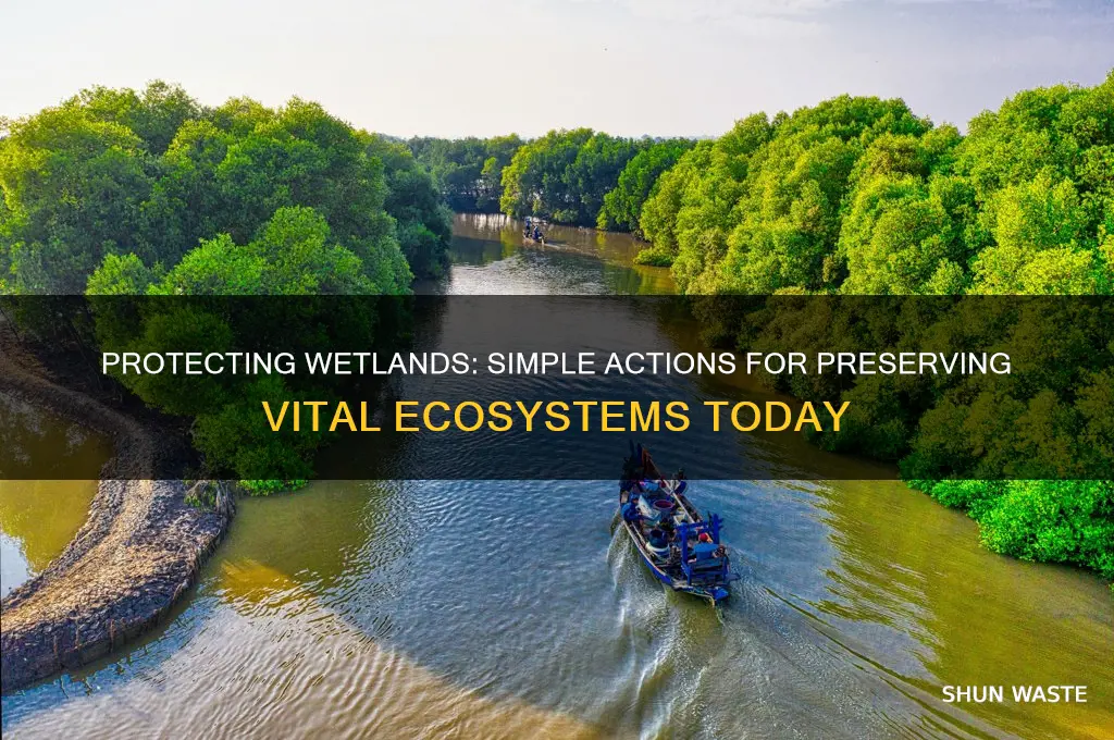 how can people help preserve wetland environments