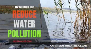 Ways to Reduce Water Pollution: Everyone's Responsibility