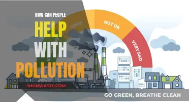 Simple Actions to Reduce Pollution and Help the Planet