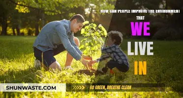 Sustainable Living: Simple Steps to Transform Our Environment for a Greener Future