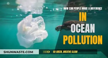 Small Actions, Big Impact: Ocean Pollution Solutions