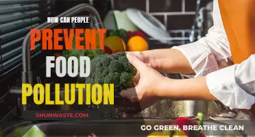 Preventing Food Pollution: Simple Steps for Safe Eating