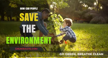 Sustainable Living: Simple Steps to Protect and Preserve Our Planet