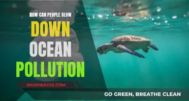 Ocean Pollution: Small Steps, Big Impact