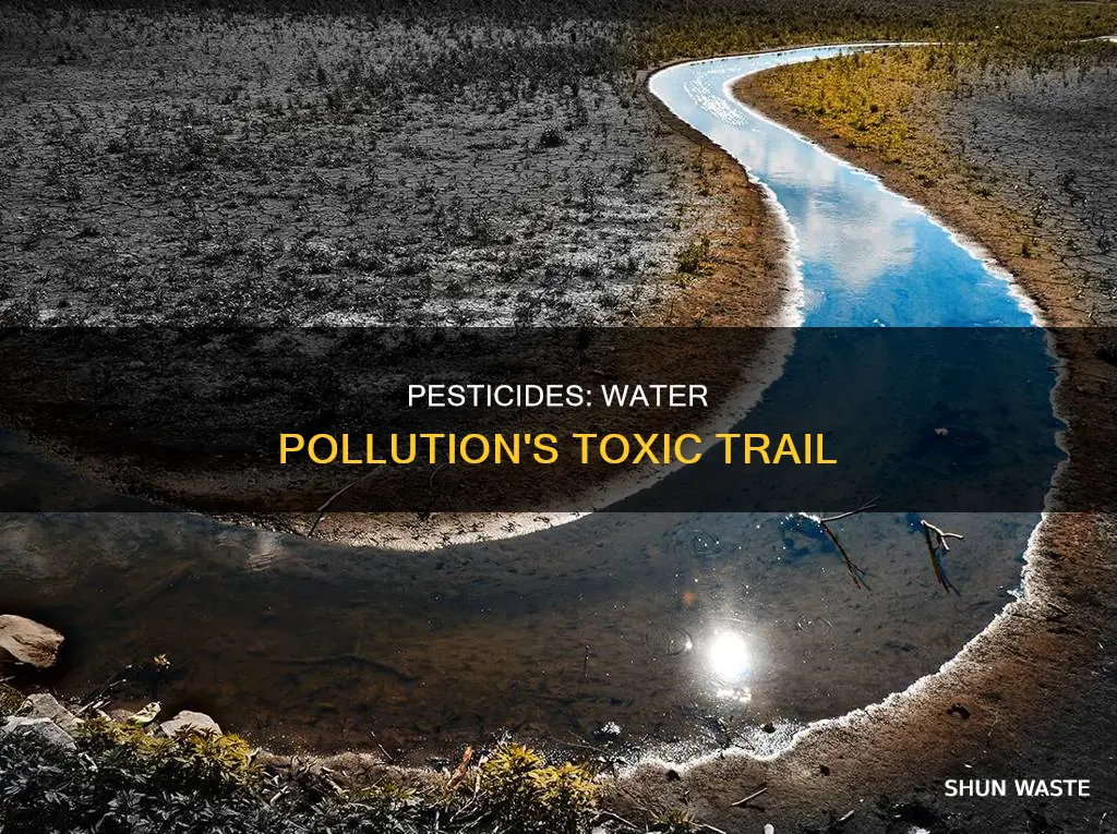 how can pesticides cause water pollution