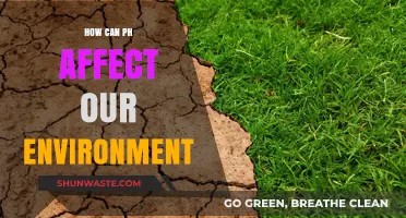 Understanding pH Impact: How Acidity Levels Shape Our Environment