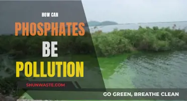 Phosphates: A Hidden Pollution Problem?