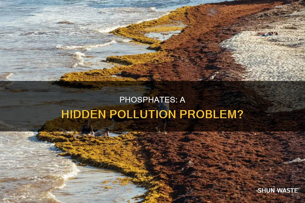 how can phosphates be pollution