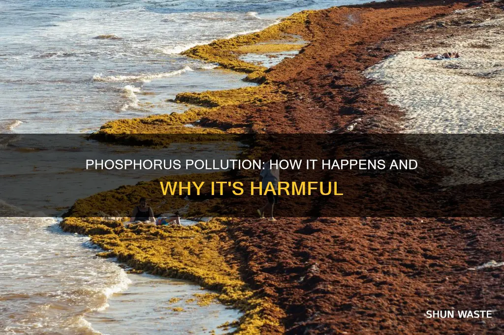 how can phosphorus become a pollutant