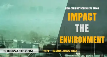Photochemical Smog's Devastating Environmental Impact: Causes, Effects, and Solutions