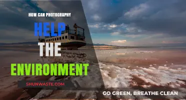 Capturing Change: How Photography Inspires Environmental Awareness and Action