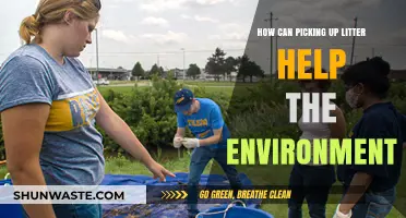 Small Acts, Big Impact: How Picking Up Litter Saves Our Planet