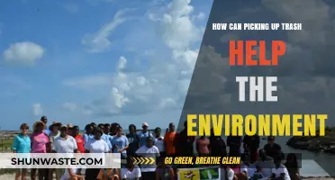 Picking Up Trash: Simple Acts, Big Impact on Our Environment