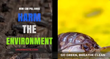 Pill Bugs: Unseen Environmental Threats and Their Ecological Impact