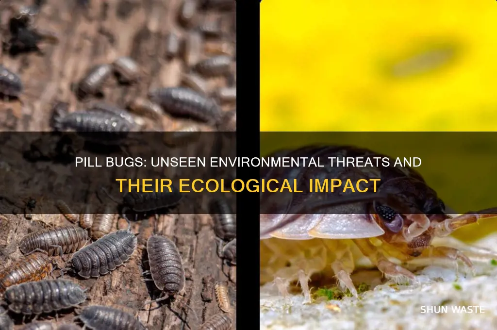 how can pill bugs harm the environment