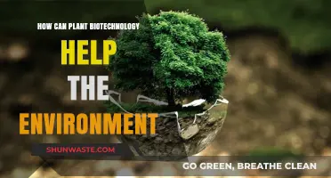 Plant Biotechnology: A Green Revolution for Environmental Sustainability