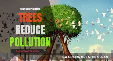 Planting Trees: Reducing Pollution, Greening Our Future