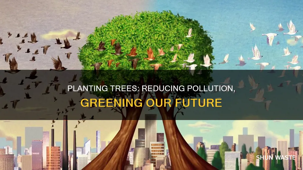 how can planting trees reduce pollution