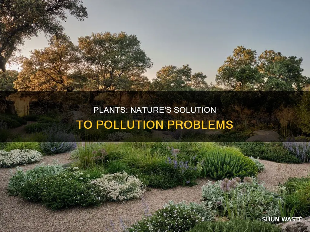 how can plants help combat pollution