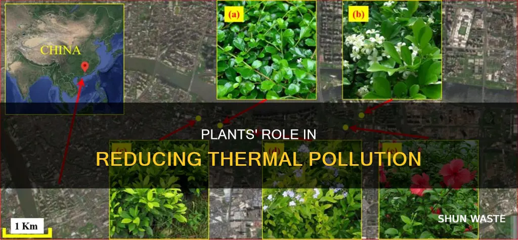 how can plants minimize thermal pollution