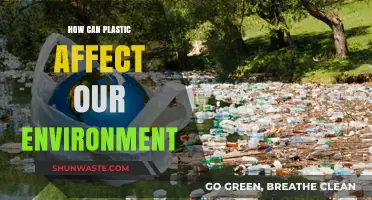 Plastic's Environmental Impact: Pollution, Wildlife Threats, and Ecosystem Destruction Explained