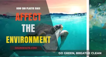 Plastic Bags' Environmental Impact: Pollution, Wildlife Threats, and Sustainable Solutions