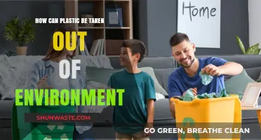 Sustainable Solutions: Removing Plastic Waste from Our Environment Effectively
