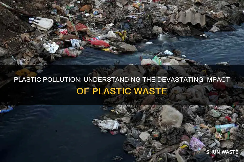 how can plastic cause pollution