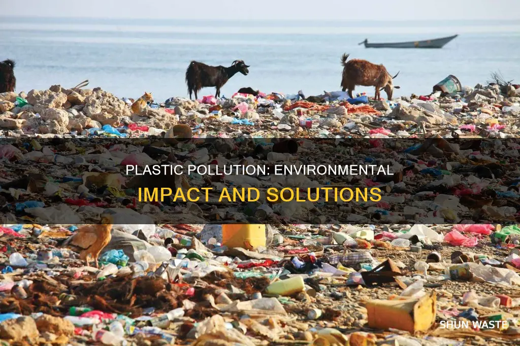 how can plastic pollute the environment