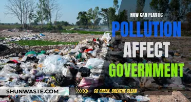 Plastic Pollution's Impact: Governing Amidst an Environmental Crisis