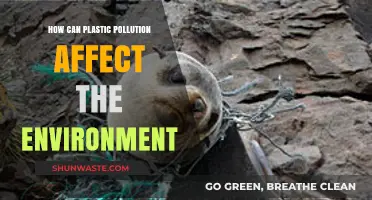Plastic Pollution's Devastating Impact on Ecosystems and Wildlife