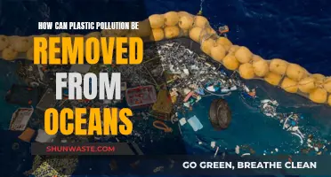 Removing Plastic Pollution from Our Oceans: Innovative Solutions