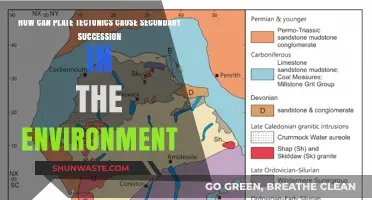 Plate Tectonics Triggering Secondary Succession: Environmental Renewal Explained