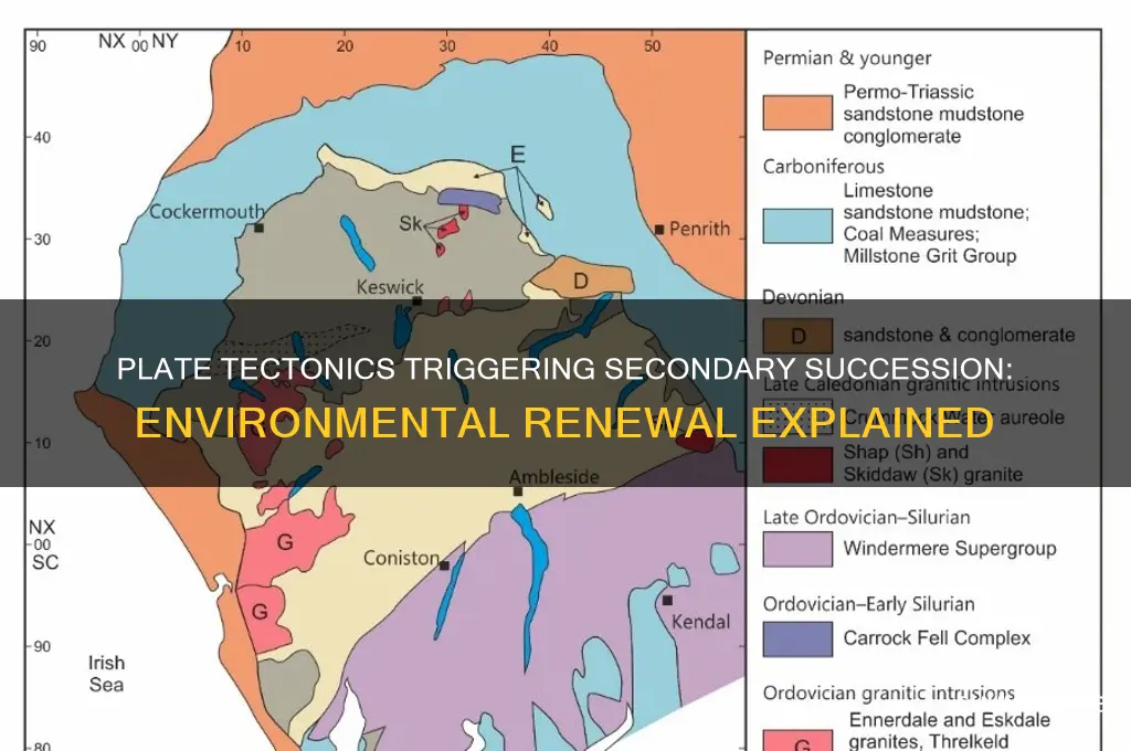 how can plate tectonics cause secondary succession in the environment