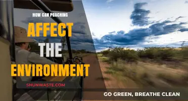 Poaching's Devastating Impact: How Illegal Hunting Destroys Ecosystems and Wildlife