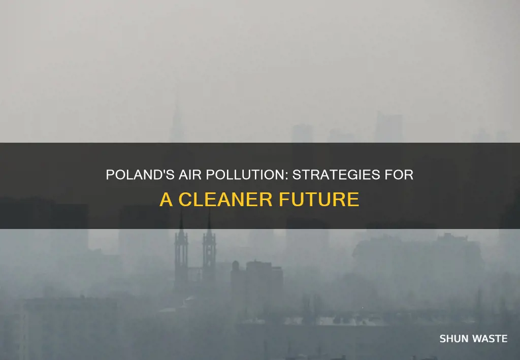 how can poland decrease air pollution