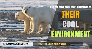 Polar Bears' Survival Secrets: Adapting to Arctic Life