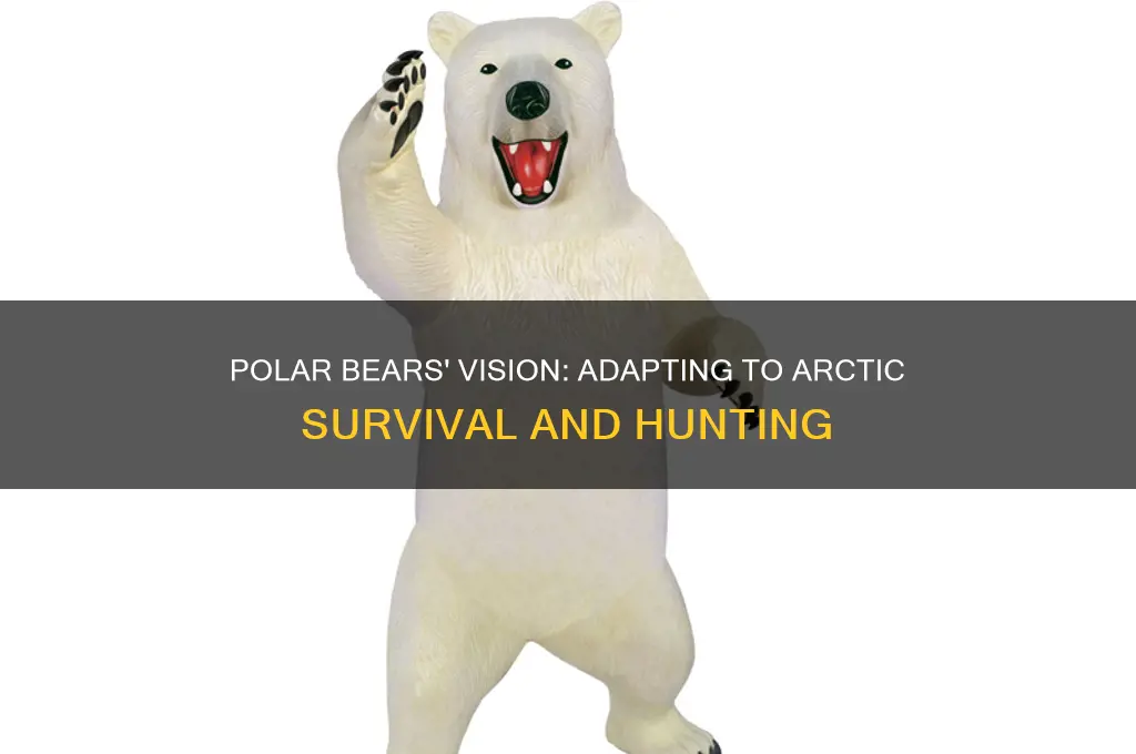 how can polar bears see in their environment