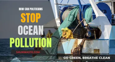 Politicians' Role in Curbing Ocean Pollution