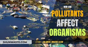 Pollution's Impact: Harming Organisms' Health and Well-being