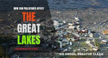 The Great Lakes: Pollution's Impact and the Future